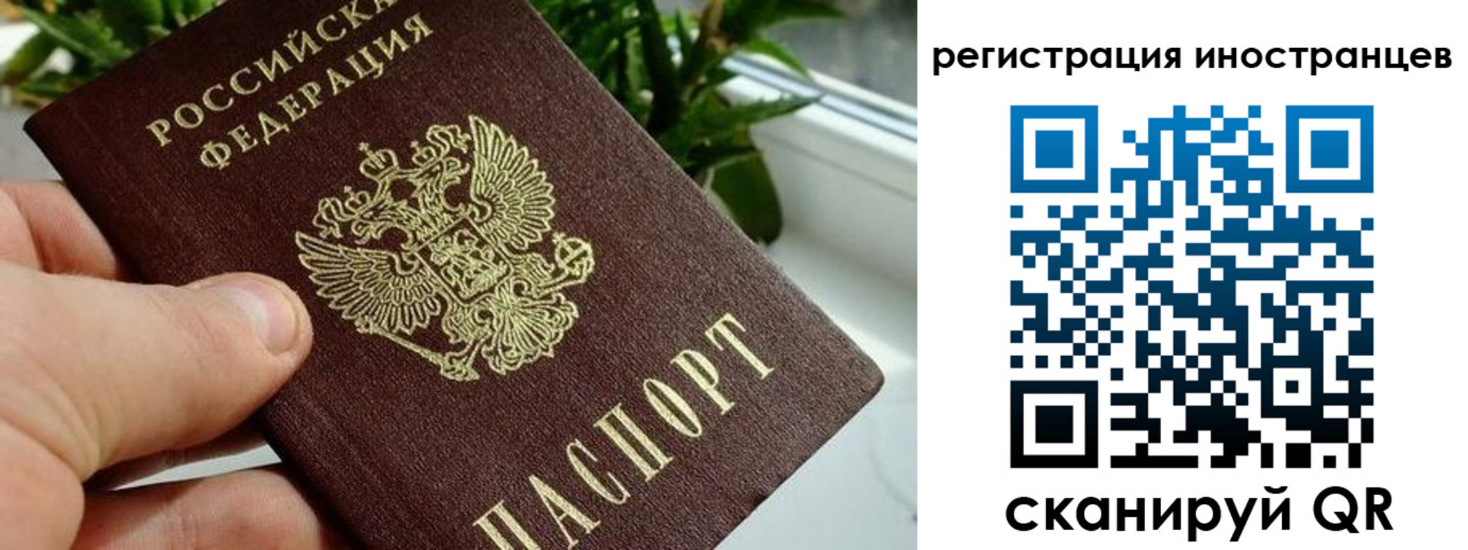 регистрация в Истре